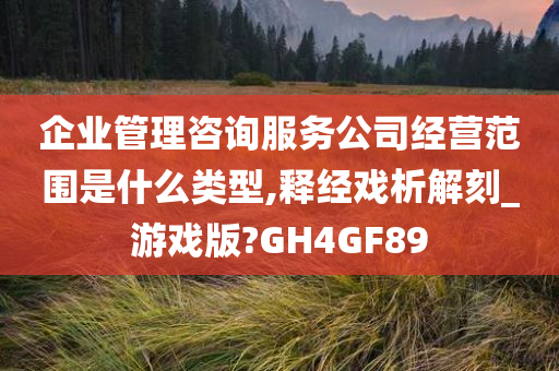 企业管理咨询服务公司经营范围是什么类型,释经戏析解刻_游戏版?GH4GF89