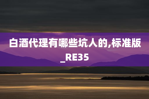 白酒代理有哪些坑人的,标准版_RE35