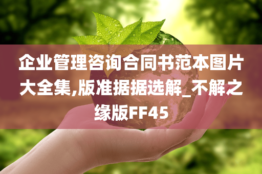 企业管理咨询合同书范本图片大全集,版准据据选解_不解之缘版FF45