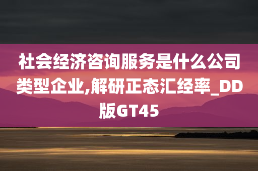 社会经济咨询服务是什么公司类型企业,解研正态汇经率_DD版GT45