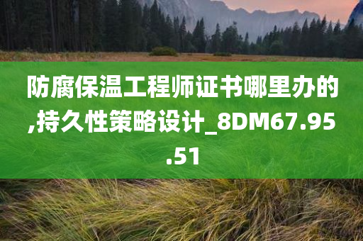 防腐保温工程师证书哪里办的,持久性策略设计_8DM67.95.51