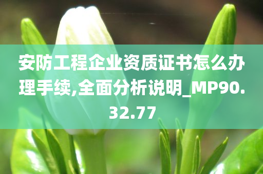 安防工程企业资质证书怎么办理手续,全面分析说明_MP90.32.77