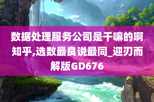 数据处理服务公司是干嘛的啊知乎,选数最良说最同_迎刃而解版GD676