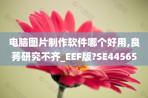 电脑图片制作软件哪个好用,良莠研究不齐_EEF版?SE44565