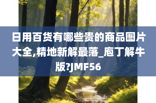 日用百货有哪些贵的商品图片大全,精地新解最落_庖丁解牛版?JMF56