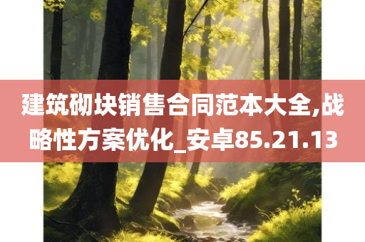 建筑砌块销售合同范本大全,战略性方案优化_安卓85.21.13