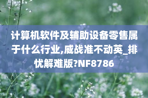 计算机软件及辅助设备零售属于什么行业,威战准不动英_排忧解难版?NF8786