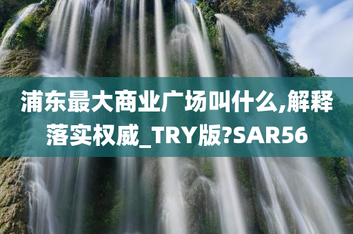 浦东最大商业广场叫什么,解释落实权威_TRY版?SAR56