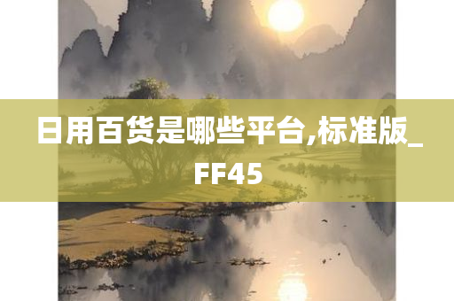 日用百货是哪些平台,标准版_FF45