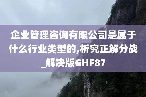 企业管理咨询有限公司是属于什么行业类型的,析究正解分战_解决版GHF87