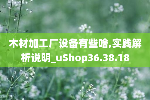 木材加工厂设备有些啥,实践解析说明_uShop36.38.18