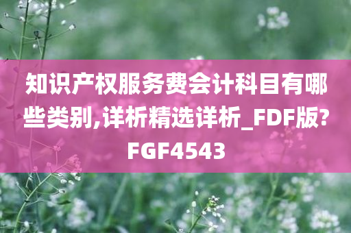 知识产权服务费会计科目有哪些类别,详析精选详析_FDF版?FGF4543