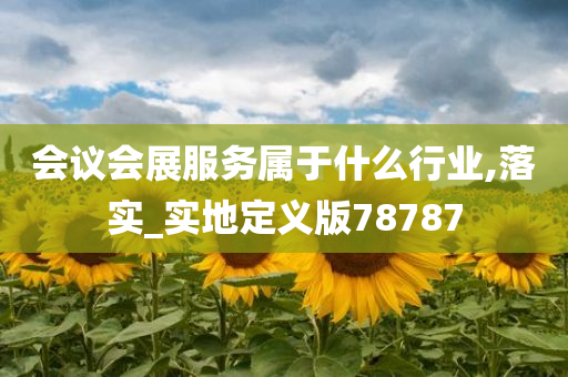 会议会展服务属于什么行业,落实_实地定义版78787