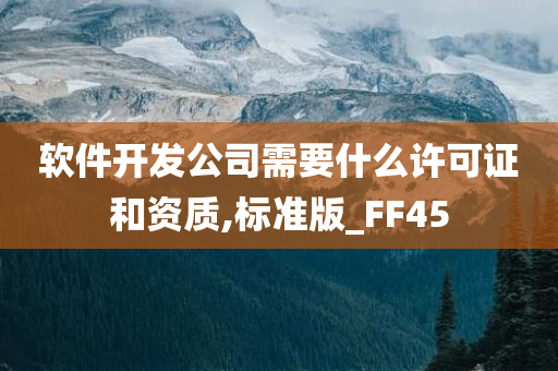 软件开发公司需要什么许可证和资质,标准版_FF45