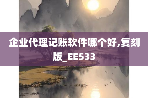 企业代理记账软件哪个好,复刻版_EE533