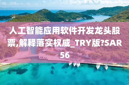 人工智能应用软件开发龙头股票,解释落实权威_TRY版?SAR56