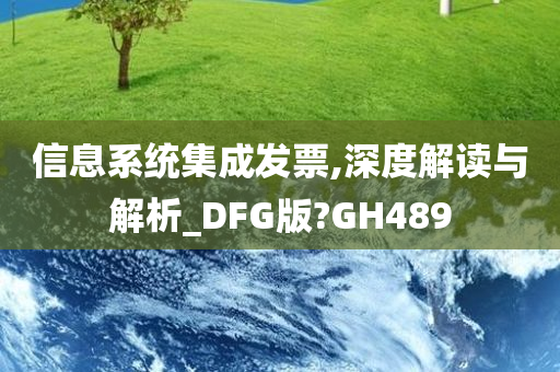 信息系统集成发票,深度解读与解析_DFG版?GH489