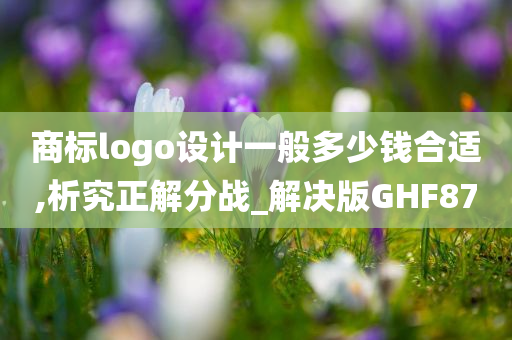 商标logo设计一般多少钱合适,析究正解分战_解决版GHF87