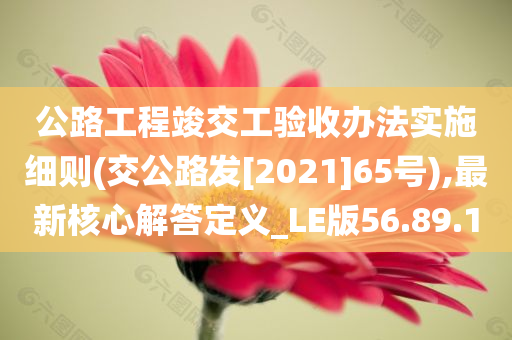 公路工程竣交工验收办法实施细则(交公路发[2021]65号),最新核心解答定义_LE版56.89.10