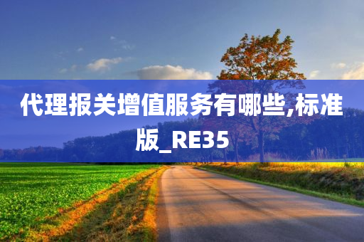 代理报关增值服务有哪些,标准版_RE35