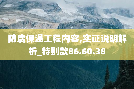 防腐保温工程内容,实证说明解析_特别款86.60.38