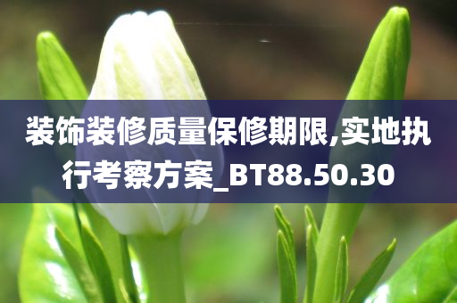 装饰装修质量保修期限,实地执行考察方案_BT88.50.30