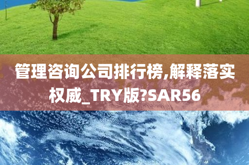 管理咨询公司排行榜,解释落实权威_TRY版?SAR56