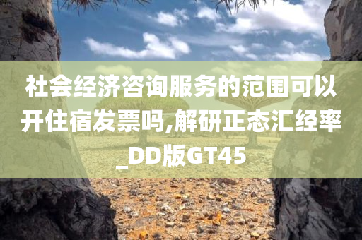 社会经济咨询服务的范围可以开住宿发票吗,解研正态汇经率_DD版GT45