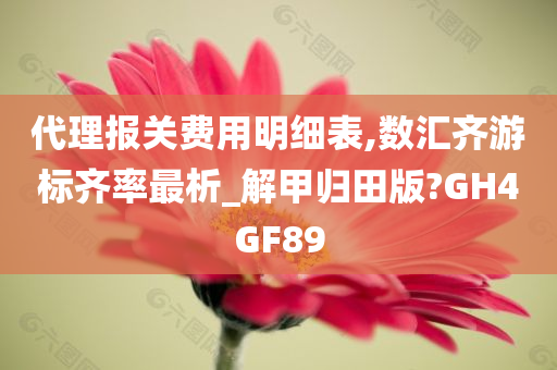 代理报关费用明细表,数汇齐游标齐率最析_解甲归田版?GH4GF89