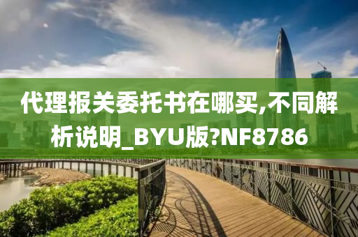 代理报关委托书在哪买,不同解析说明_BYU版?NF8786