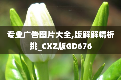 专业广告图片大全,版解解精析挑_CXZ版GD676