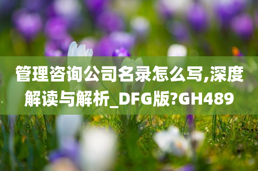 管理咨询公司名录怎么写,深度解读与解析_DFG版?GH489