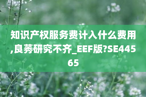 知识产权服务费计入什么费用,良莠研究不齐_EEF版?SE44565