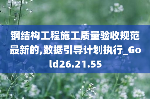 钢结构工程施工质量验收规范最新的,数据引导计划执行_Gold26.21.55