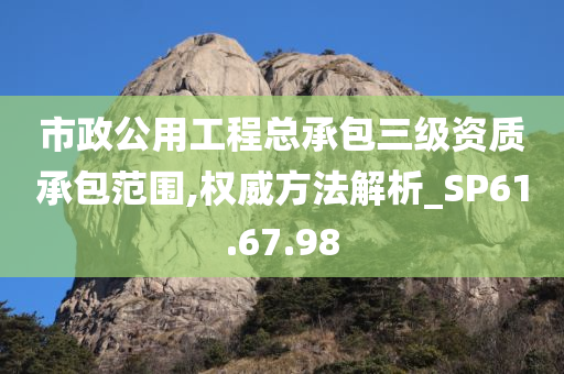 市政公用工程总承包三级资质承包范围,权威方法解析_SP61.67.98