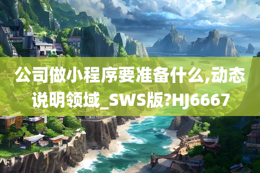 公司做小程序要准备什么,动态说明领域_SWS版?HJ6667