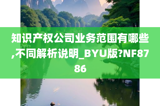 知识产权公司业务范围有哪些,不同解析说明_BYU版?NF8786