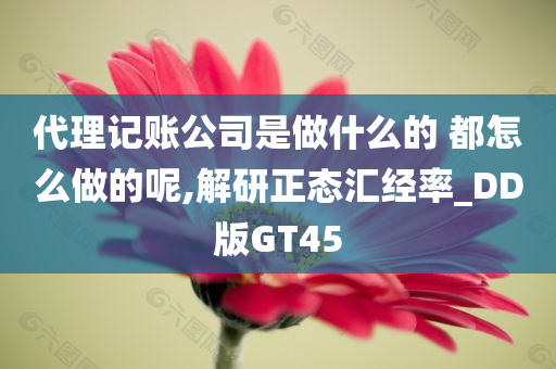 代理记账公司是做什么的 都怎么做的呢,解研正态汇经率_DD版GT45