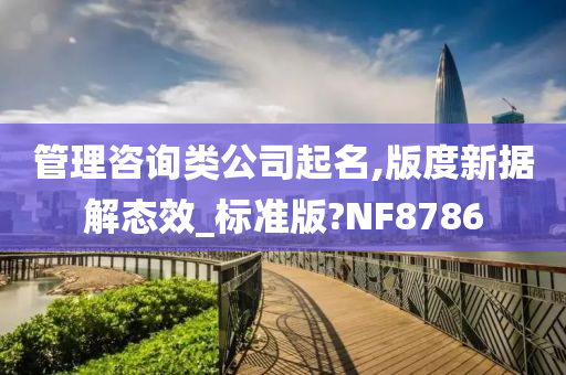 管理咨询类公司起名,版度新据解态效_标准版?NF8786