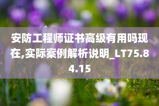 安防工程师证书高级有用吗现在,实际案例解析说明_LT75.84.15