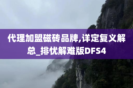 代理加盟磁砖品牌,详定复义解总_排忧解难版DFS4