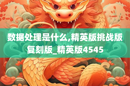 数据处理是什么,精英版挑战版复刻版_精英版4545