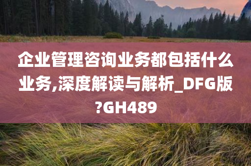 企业管理咨询业务都包括什么业务,深度解读与解析_DFG版?GH489