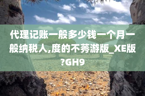 代理记账一般多少钱一个月一般纳税人,度的不莠游版_XE版?GH9