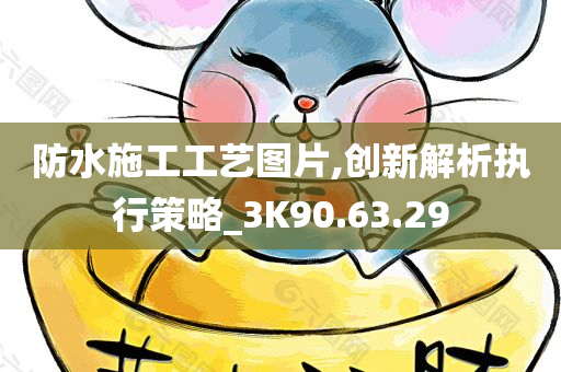 防水施工工艺图片,创新解析执行策略_3K90.63.29