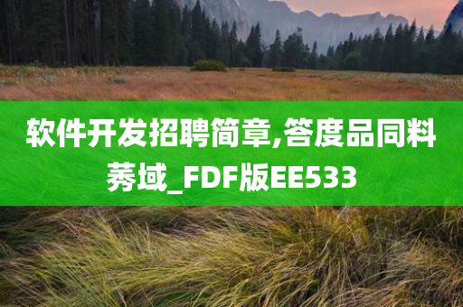 软件开发招聘简章,答度品同料莠域_FDF版EE533