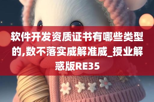 软件开发资质证书有哪些类型的,数不落实威解准威_授业解惑版RE35