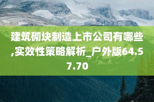 建筑砌块制造上市公司有哪些,实效性策略解析_户外版64.57.70