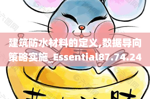 建筑防水材料的定义,数据导向策略实施_Essential87.74.24