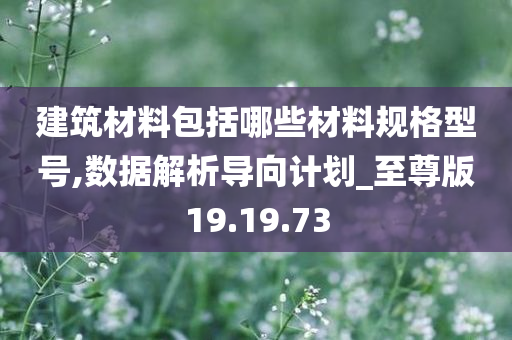 建筑材料包括哪些材料规格型号,数据解析导向计划_至尊版19.19.73